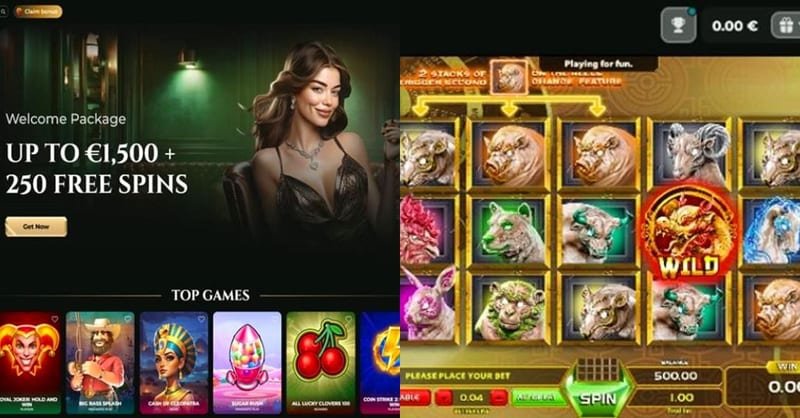 Chicken Plinko sans téléchargement sur Goldzino – Goldzino : conditions pour jouer en argent réel